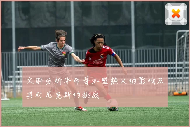 文胖分析字母哥加盟热火的影响及其对尼克斯的挑战