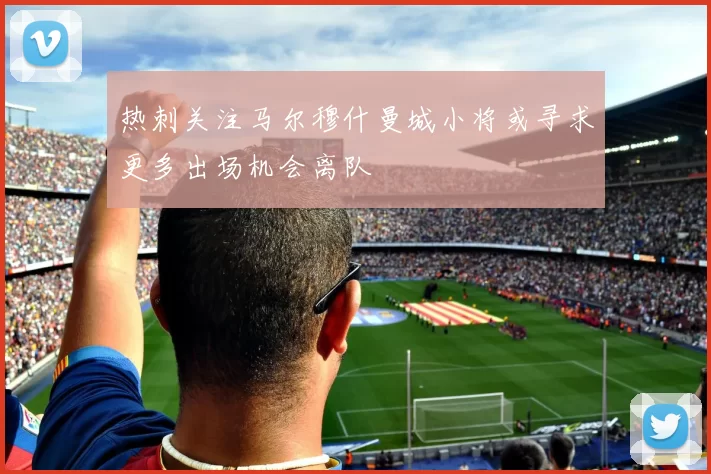 热刺关注马尔穆什曼城小将或寻求更多出场机会离队